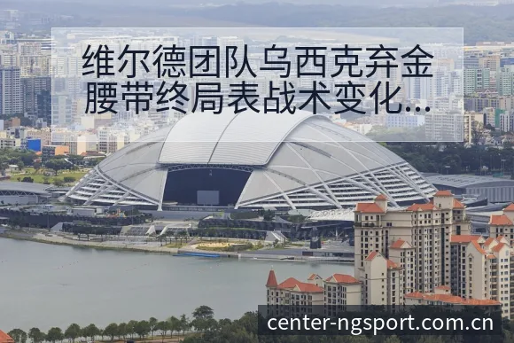 维尔德团队乌西克弃金腰带终局表战术变化与风险点历史表现分 - NG体育